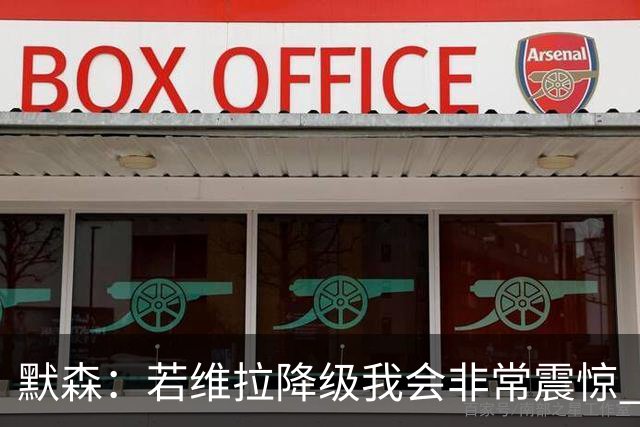 默森：若维拉降级我会非常震惊 阿森纳将以两位数积分优势夺冠
